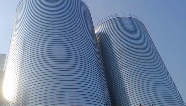 龙南2座混凝土高架卷板仓